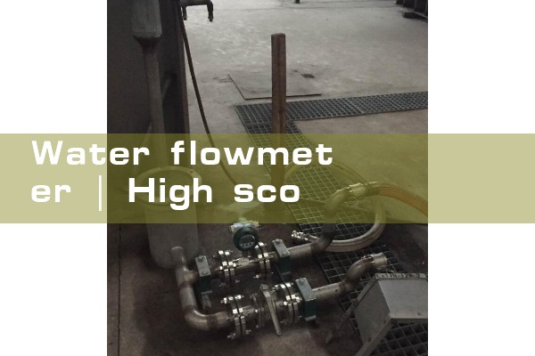 water flowmeter|mass flow meter
